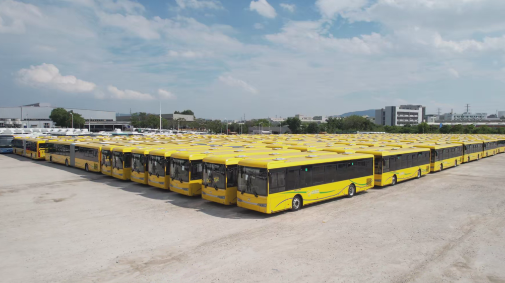 1753436345325 a329553ffc8b489f7769b2c749939c18